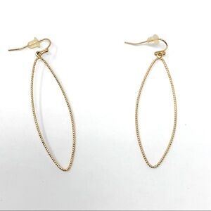 Oblong Hoop Earrings
